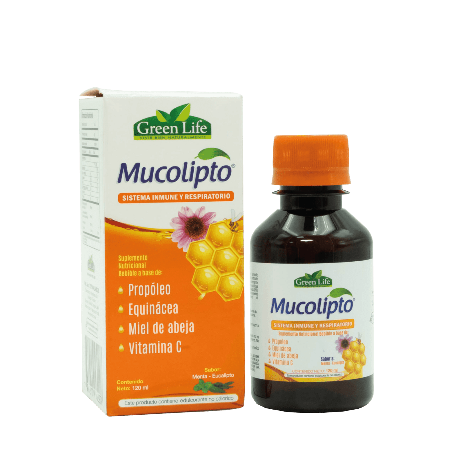 MUCOLIPTO JBE