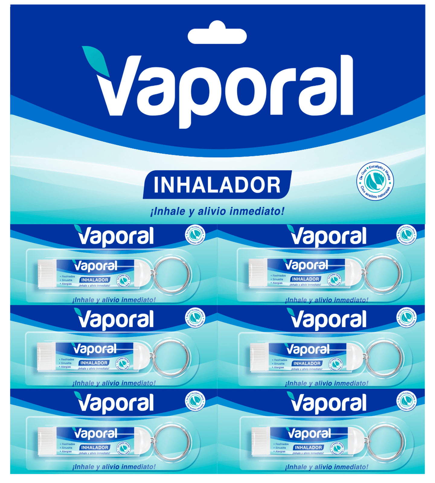 VAPORAL INH DISPLAY X 6
