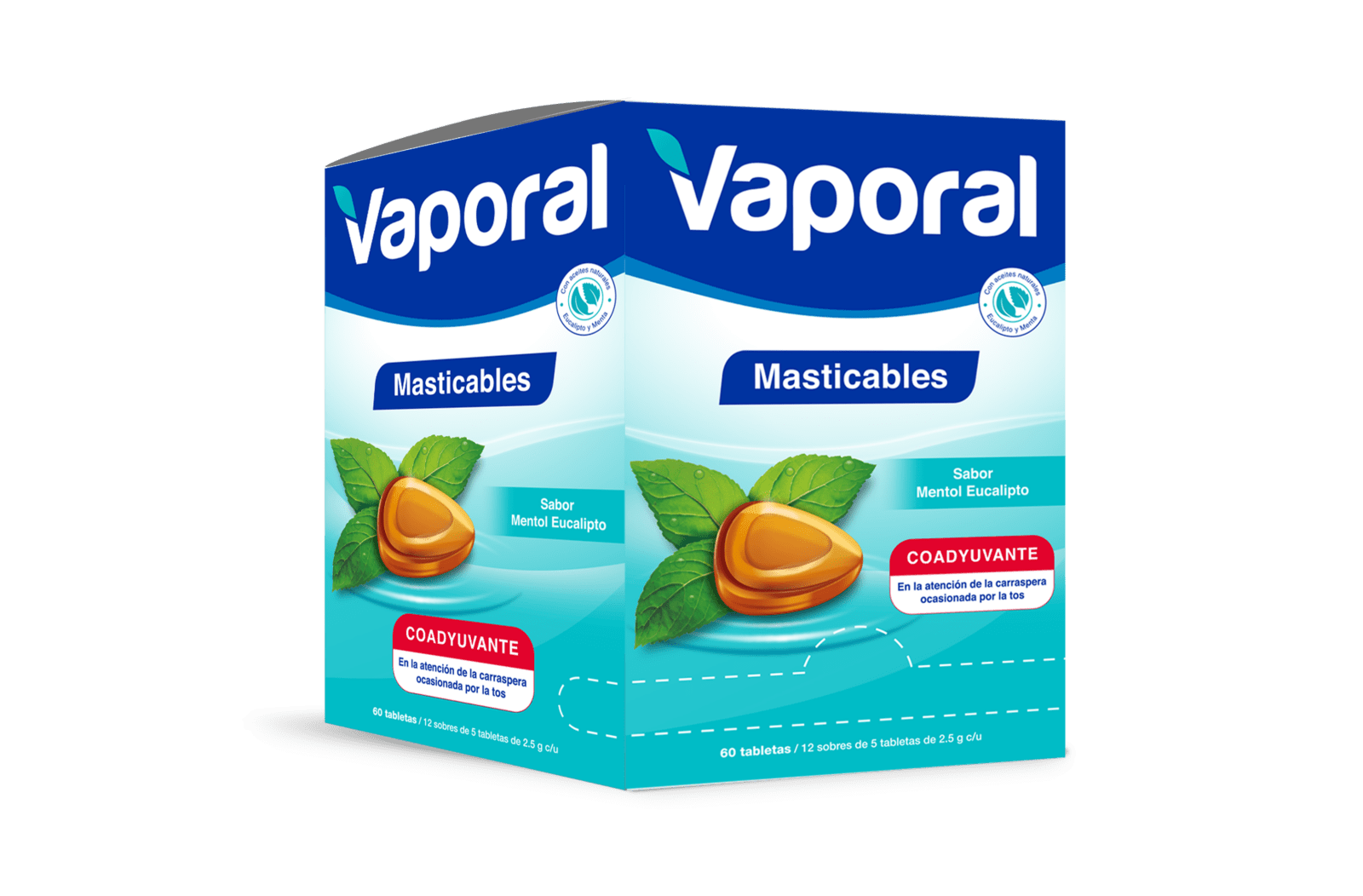 VAPORAL TAB MAST MENT-EUC SOBRES X 60